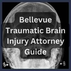 Bellevue Traumatic Brain Injury Attorney Guide Bellevue Traumatic Brain Injury Attorney Guide
